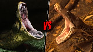 GREEN ANACONDA VS RETICULATED PYTHON  Who Would Win [upl. by Orola]