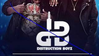 Gqom Mix 2019 DISTRUCTION BOYZ mix [upl. by Lewis]