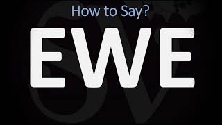 How to Pronounce Ewe CORRECTLY [upl. by Yaras56]