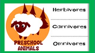 Herbivore Carnivore Omnivore Animals [upl. by Strade389]