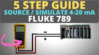 How To Use a Process Meter  5 Step Guide to Source  Simulate 420mA [upl. by Afihtan]