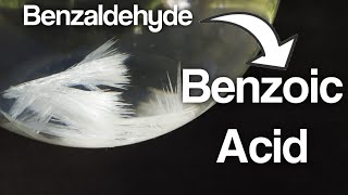 Synthesis of Benzoic acid from Benzaldehyde [upl. by Anatlus874]