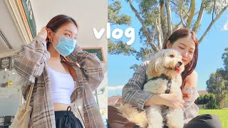 vlog  room tour dog sitting picnic in the park 🐶☀️ [upl. by Gerry306]