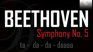 Beethoven Symphony No 5 [upl. by Elsy176]