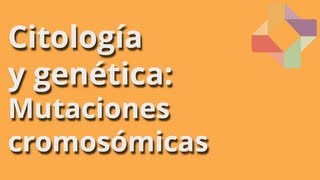 Mutaciones cromosómicas  Citología y Genética  Educatina [upl. by Alenson]