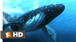 5Headed Shark Attack 2017  Humpback Whale vs 4Headed Shark Scene 310  Movieclips [upl. by Gerty]