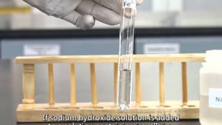 Qualitative Analysis of Cations [upl. by Siuoleoj]