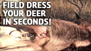 How to Field Dress a Deer In Seconds [upl. by Zebedee]