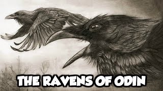 Odins Mythical Ravens  Huginn and Muninn Norse Mythology Explained [upl. by Perlman476]