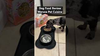 Dog Food Review feat WeruvaPets [upl. by Evans]