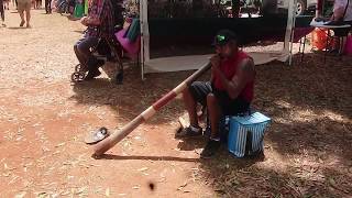 Yidaki  Didgeridoo  Yungaburra Market [upl. by Ahsart]