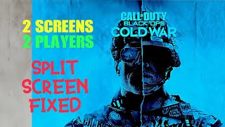 HOW TO SPLIT SCREEN Call of Duty Black Ops Cold War [upl. by Gorga853]