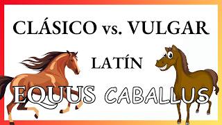 VOCABULARIO del latín CLÁSICO y VULGAR diferencias EvoluciónEspañol [upl. by Specht]