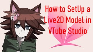 How to set up a Live2D Model in VTube Studio [upl. by Ecertak]