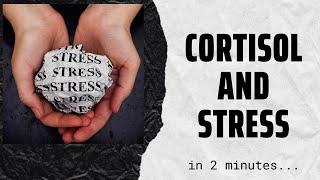 Cortisol the stress hormone in 2 mins [upl. by Leimad210]