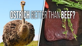 How to Cook OSTRICH STEAKS  Is Ostrich Better Than Beef [upl. by Ziladnerb873]