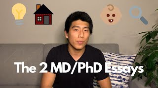 How does a PhD work The FULL guide [upl. by Iz]