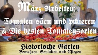 Arbeiten im März Tomaten säen und pikieren  Die besten Tomatensorten [upl. by Erdnoed814]