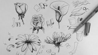 Pen amp Ink Drawing Tutorial  How to draw flowers part 1 [upl. by Vitus]