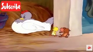 TomampJerry  Downhearted Duckling  Little Quacker  MS  Cartoon Videos  Tom  Jerry  V02 [upl. by Ahsuatan]