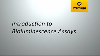 Introduction to Bioluminescent Assays [upl. by Odla314]