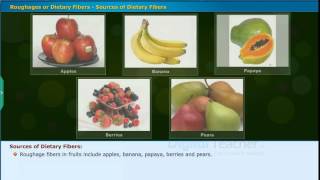 Roughages or Dietary Fibers Sources of Dietary Fibers Class 7 Biology [upl. by Durrej]