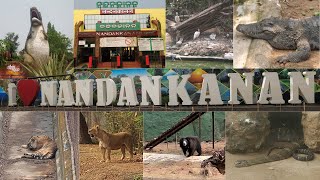 Indias 2nd largest Zoo  Nandankanan Zoological Park Bhubaneswar  Nandankanan Zoo full tour [upl. by Clayberg]