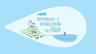 La potabilización  Didáctica del Agua [upl. by Jinny453]