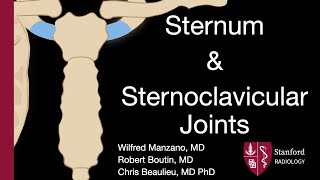 Sternum and Sternoclavicular Joints  Wilfred Manzano MD [upl. by Nadine]