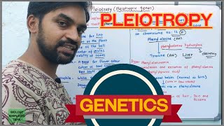 Pleiotropy  Pleiotropic genes  Genetics [upl. by Eat]