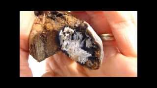 Starting a Fire with a Mushroom Polypore Fungus [upl. by Laina]