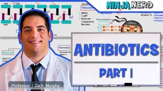 Antibiotics Cell Wall Synthesis Inhibitors Part 1 [upl. by Aicila187]