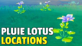 Pluie Lotus LOCATIONS  Genshin Impact [upl. by Zullo705]