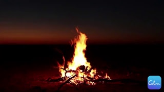 Camp Fire Soundscape for for Relaxing Focus or Deep Sleep [upl. by Eloken]