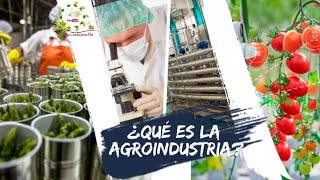 ¿Qué es la agroindustria [upl. by Rehteh]