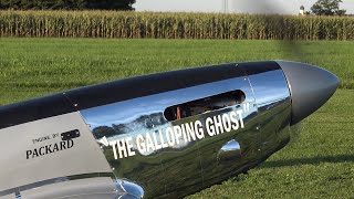 Rc quotThe Galloping Ghost P51quot [upl. by Norehs]