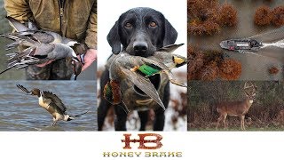 Best Duck Hunting In Louisiana  Honey Break Experience  Best Of Realtree 365 [upl. by Aneeuqahs21]