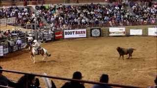 For Sale Pickup Horse Team Roping Horse Bull Dragging Roping Ranch Horse [upl. by Adnawad421]