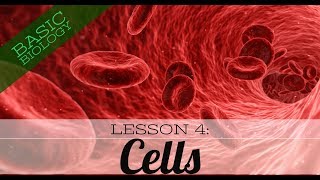 Basic Biology Lesson 4 Cells GCSE Science [upl. by Ennovi831]