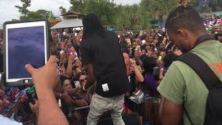 Alkaline Live Performance [upl. by Reich]