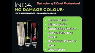 Inoa Tutorial All about ammoniafree hair color Inoa by Loreal Professionnel [upl. by Wendi]