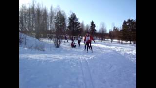 Vasaloppet 2012 vurpor Halvvasan vid Oxbergskontrollen [upl. by Ahtoelc]