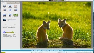 Google Picasa Free Photo Editing Program Tutorial [upl. by Murage]