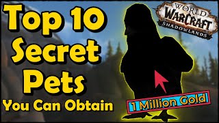 Top 10 Secret Pets You Can Obtain in World of Warcraft [upl. by Archibaldo]