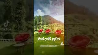 Mandaram Nuwara💚මන්දාරම් නුවර 💚 travelmandaramnuwarakandyshortssubscribeviralvideosrilanka [upl. by Aihsekat298]