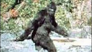 What Natives Say Bigfoot Is History Of The Ottawa And Chippewa Indians Of Michigan By AJ Blackbird [upl. by Bobbee]