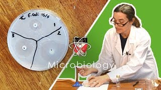 Introduction to Clinical Mycology Part 1 Hot Topic [upl. by Aicilic]