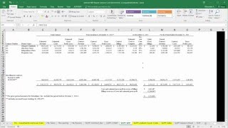 WorkInProgress WIP XBRL Taxonomy Excel Plugin Demo [upl. by Dobbins]