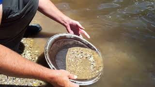 How to pan for gold at Soverign Hill Ballarat Victoria [upl. by Acalia826]