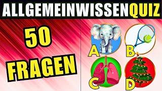 Das beste Allgemeinwissen Quiz auf Youtube [upl. by Massie]